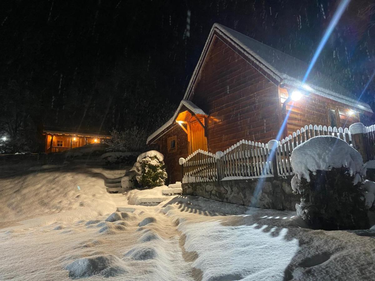 Milica Holiday home *
