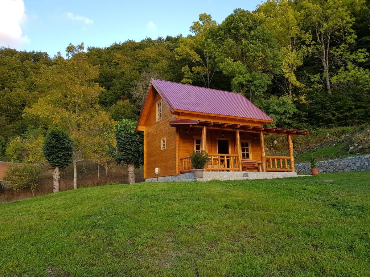Milica Holiday home