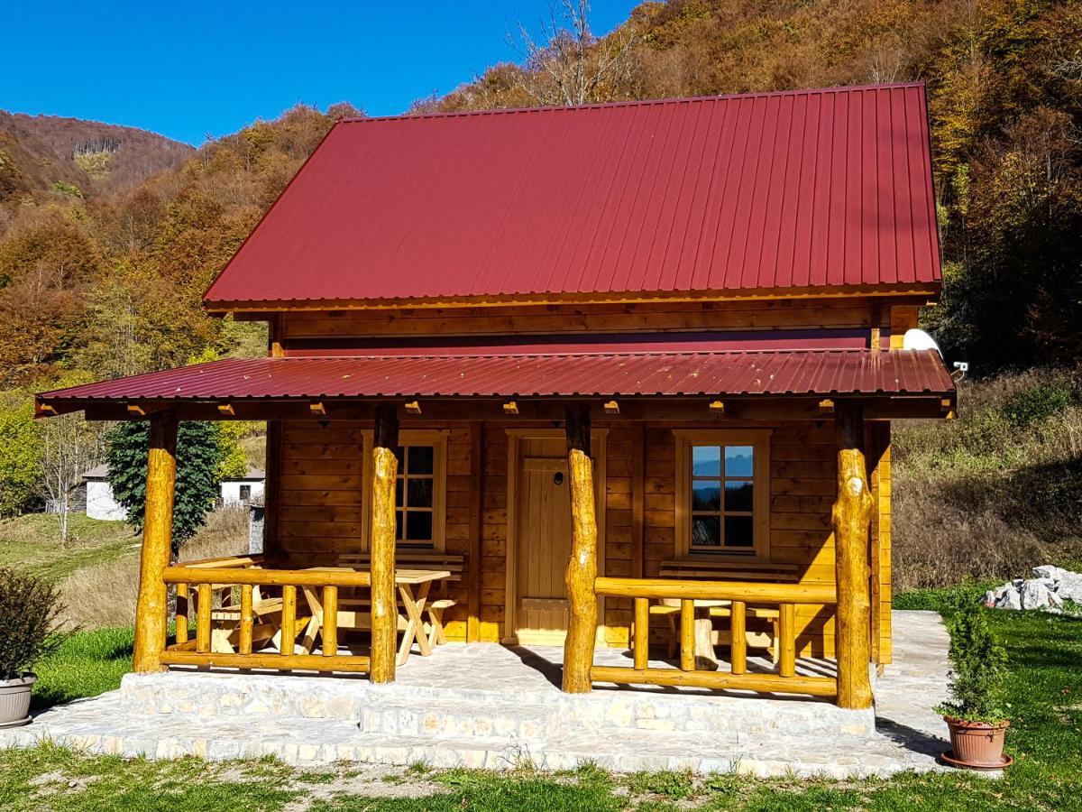 Milica Holiday home *